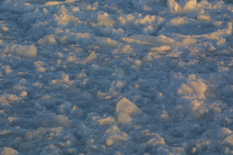 Surface Sampling - Site 5a