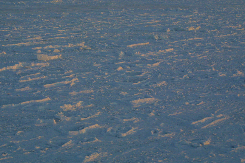 Surface Sampling - Site 5a