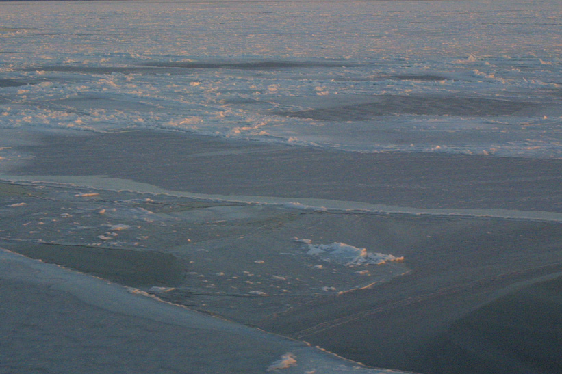 Surface Sampling - Site 5a