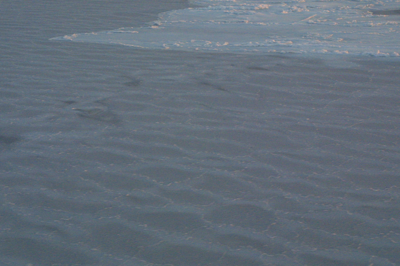 Surface Sampling - Site 5a