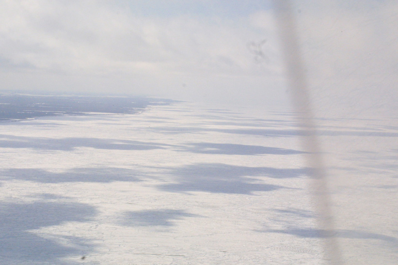 Helicopter Sampling - Site 6