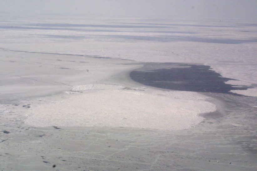 Helicopter Sampling - Site 7