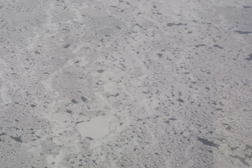 Helicopter Sampling - Site 8