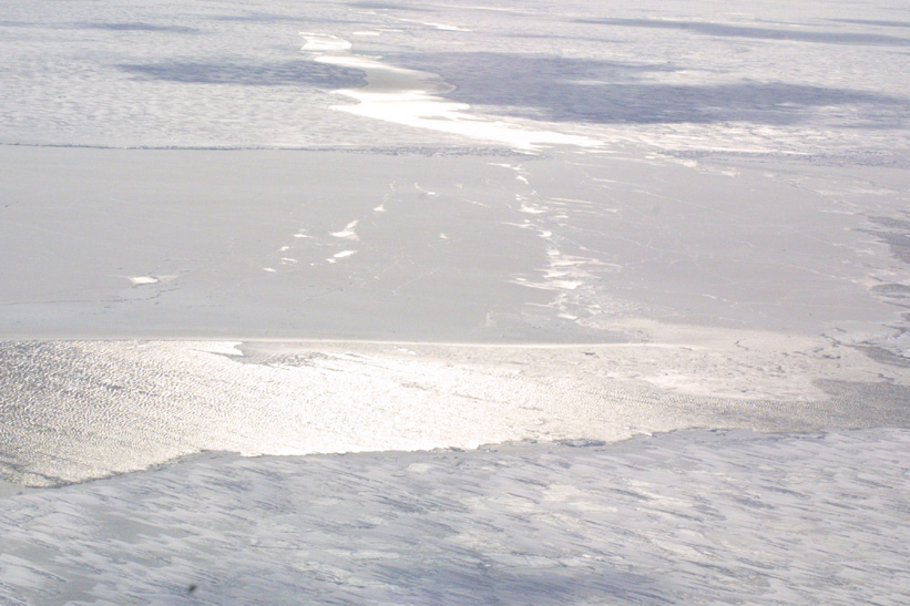 Helicopter Sampling - Site 8