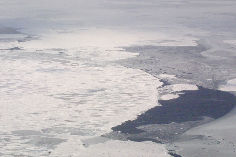 Helicopter Sampling - Site 8