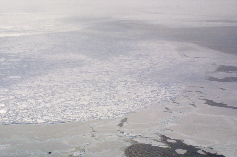 Helicopter Sampling - Site 9