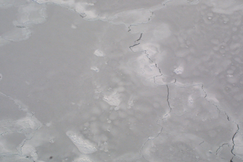 Helicopter Sampling - Site 9